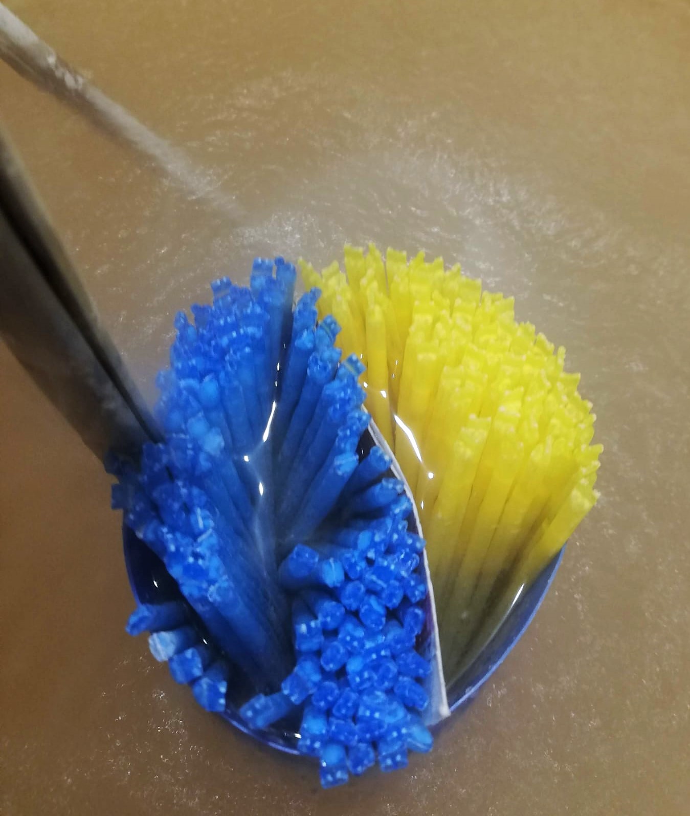 SEME PER FECONDAZIONE ARTIFICIALE