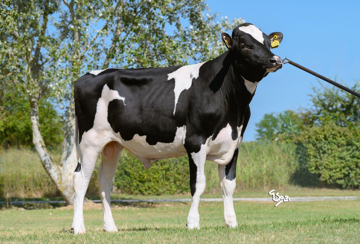 3STAR OH MARULA ET (FI)(SEX)(NL000673809948)