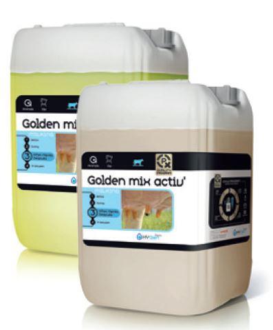 GOLDEN MIX   22+23 KG.