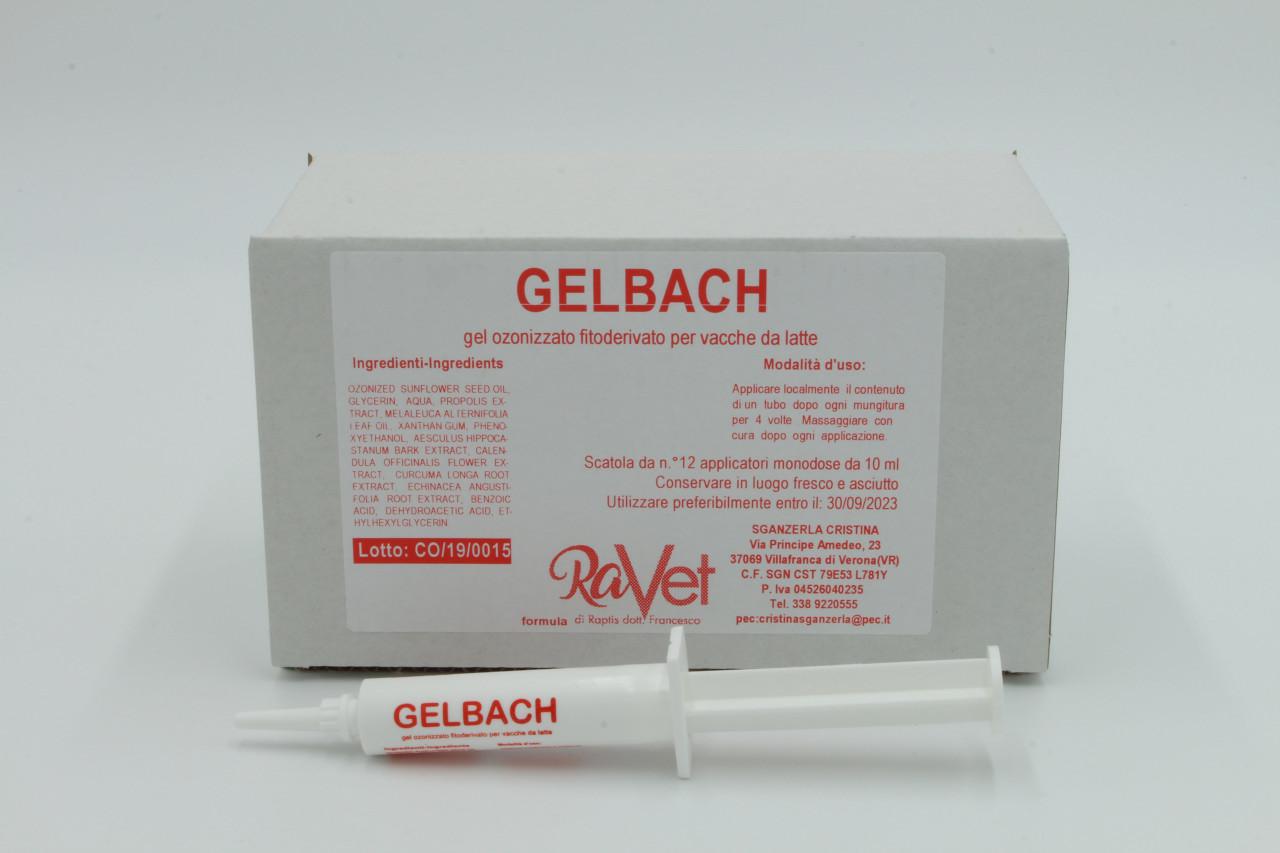 GELBACH 12 pz