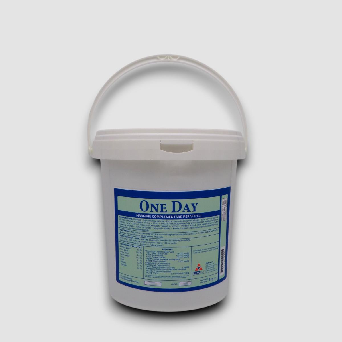 ONE DAY secchio 4 kG.