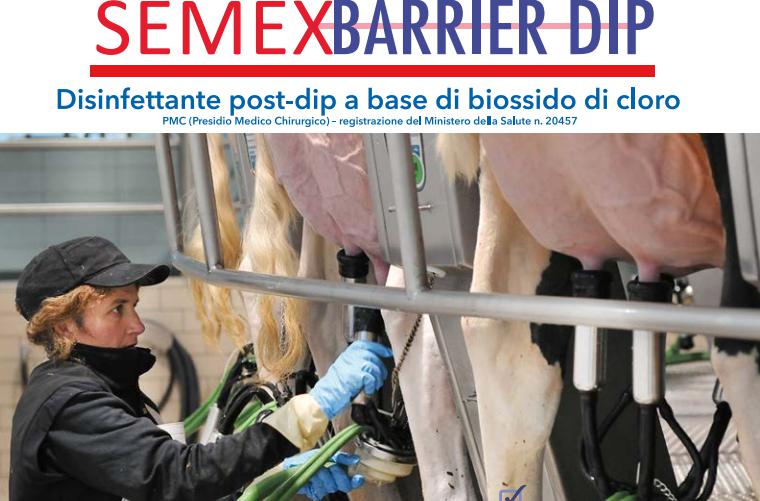 SEMEX BARRIER POST.DIPING 19+1 Lt