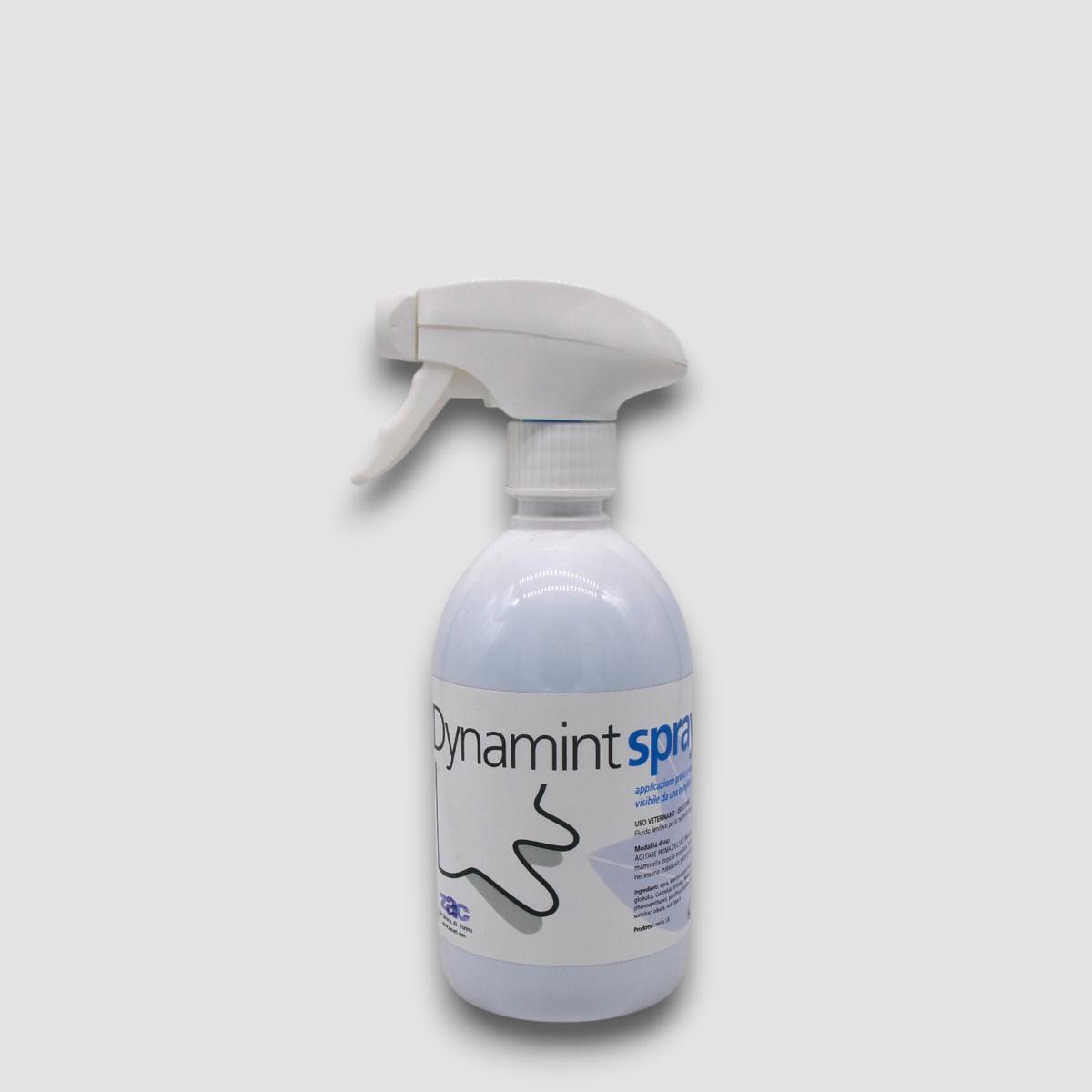 DYNAMINT SPRAY CONF. 500 ml.