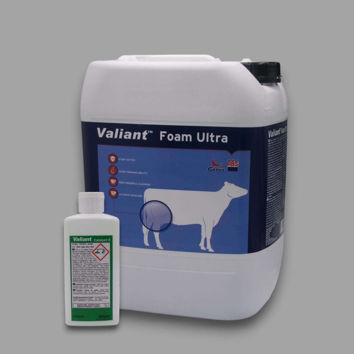 VALIANT FOAM 20 lt più catalizzatore