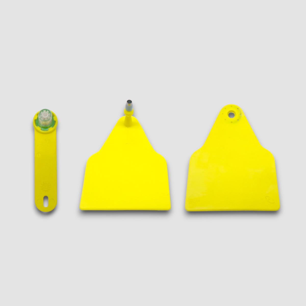 MARCA TYPIFIX PRELIEVO DNA