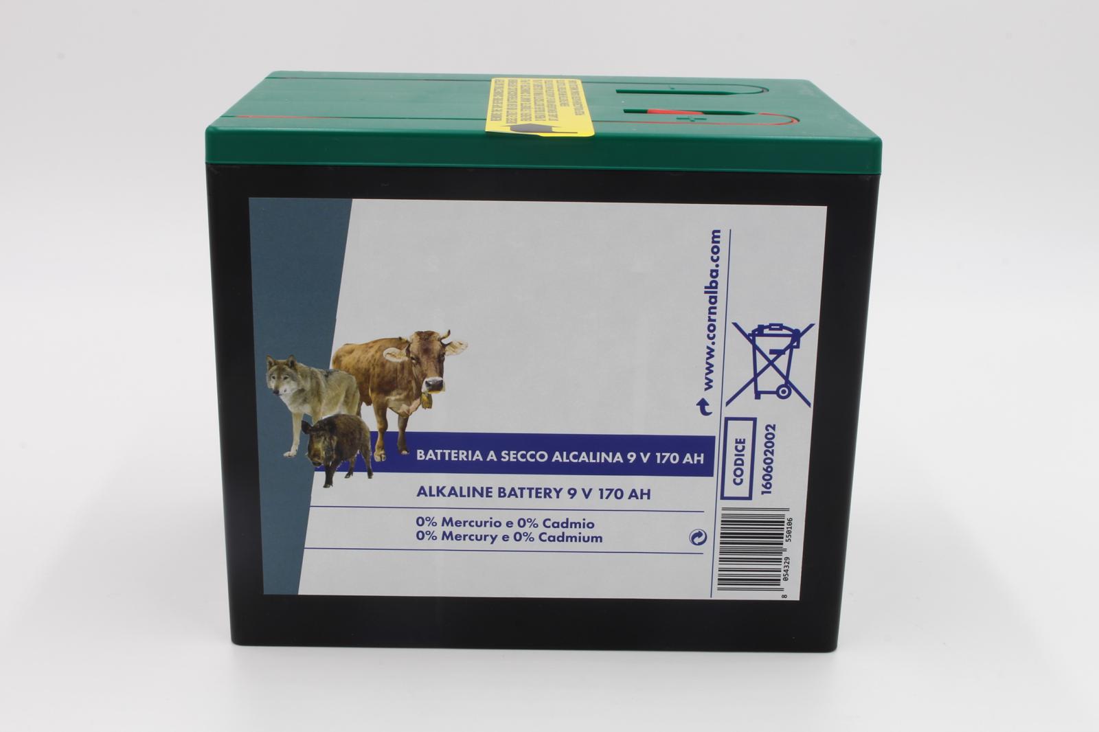 BATTERIA SECCO ALCALINA 170 AH 9V